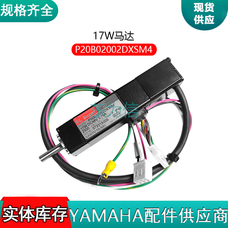 P20B02002DXSM4 17W马达